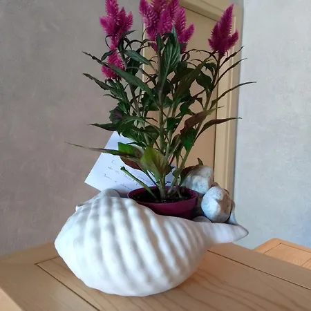 Hotel Lu Pitrali San Teodoro (Sardinia)